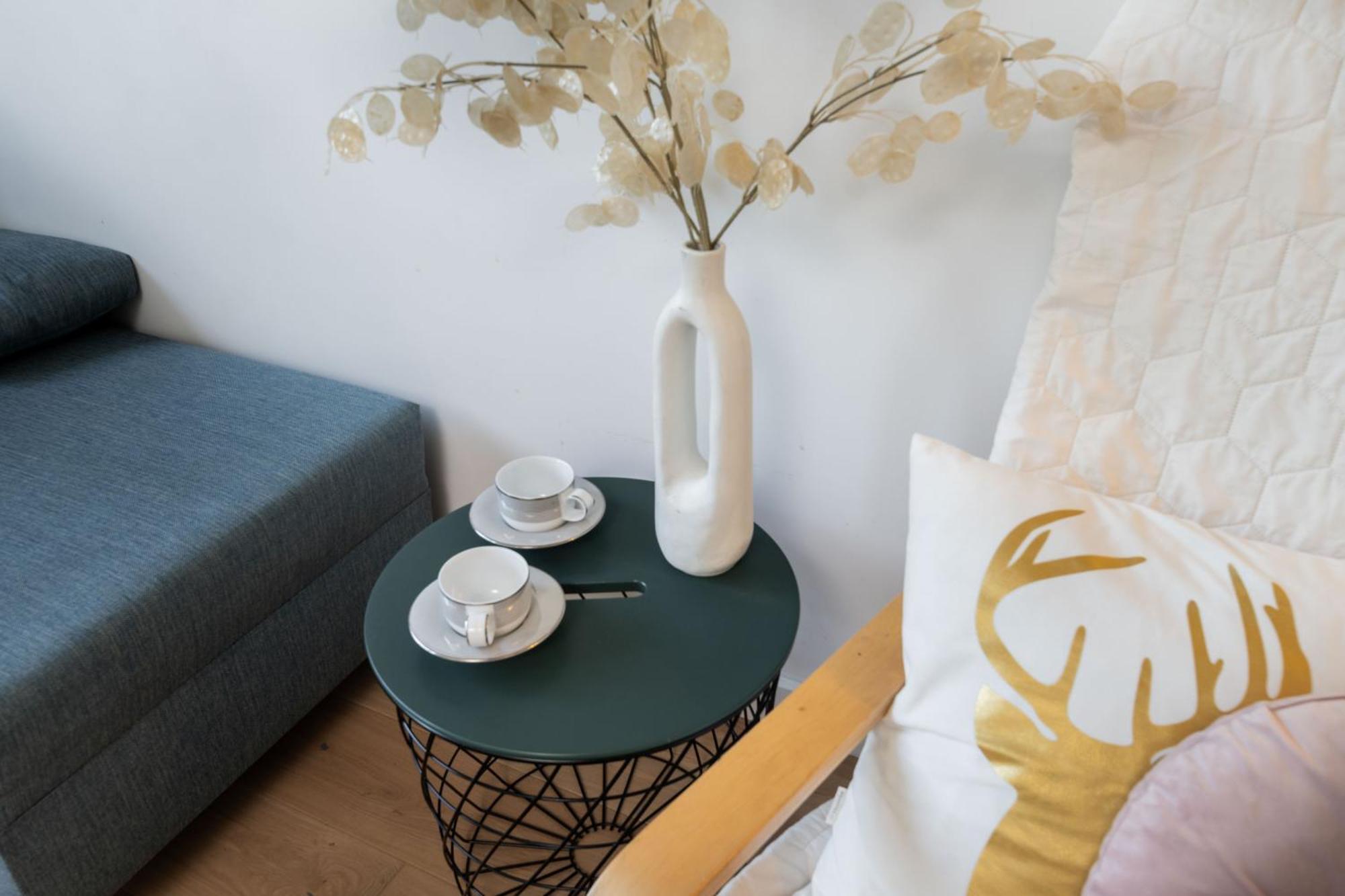 Chopin Apartment Lazienki Park وارسو المظهر الخارجي الصورة